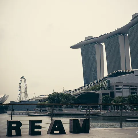 Dream