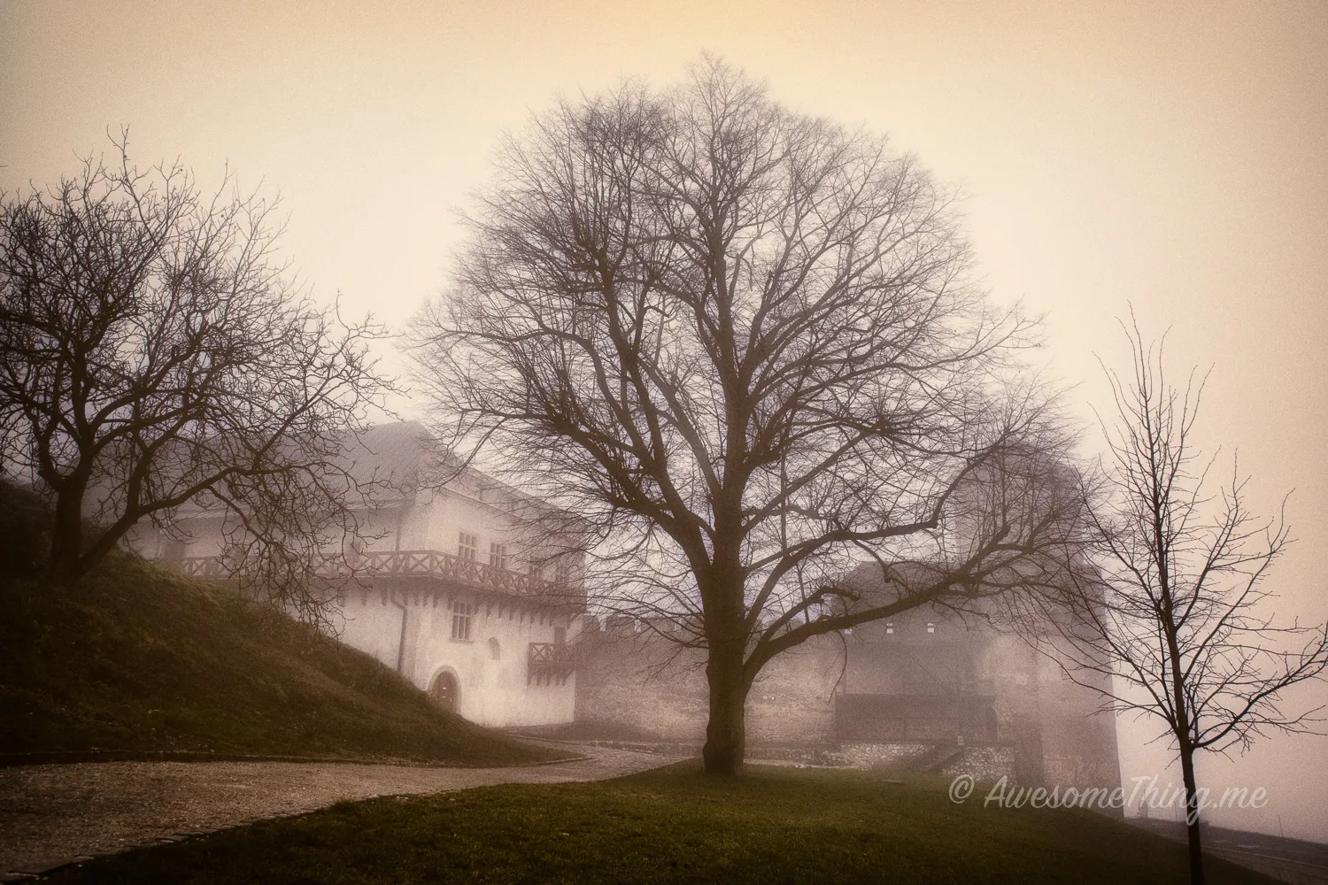 Foggy Trenčin