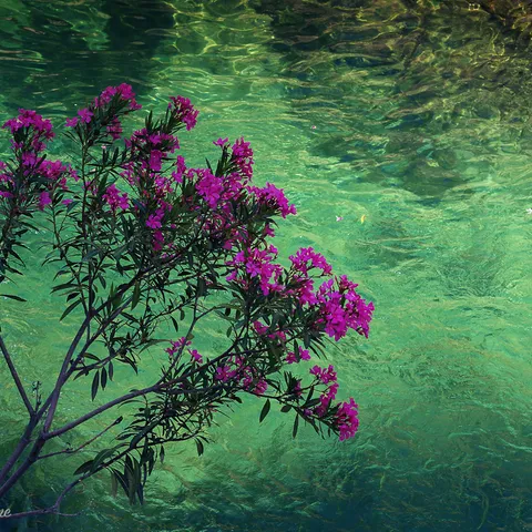 Guadalest 4