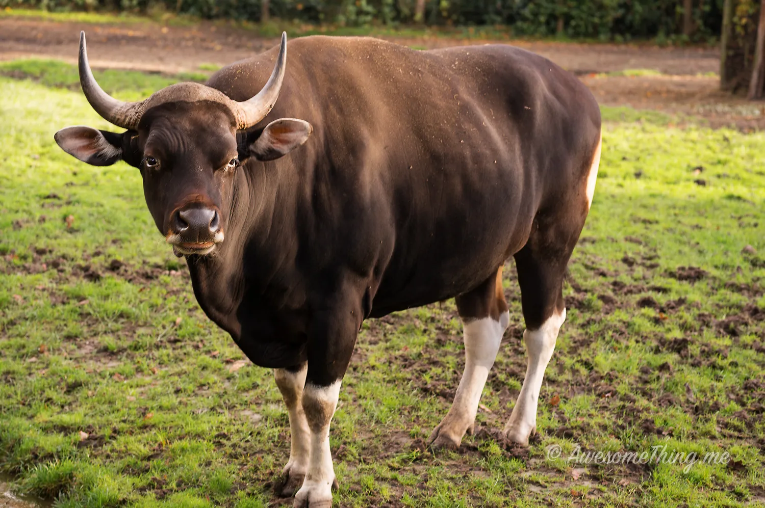 Zoo Rotterdam
