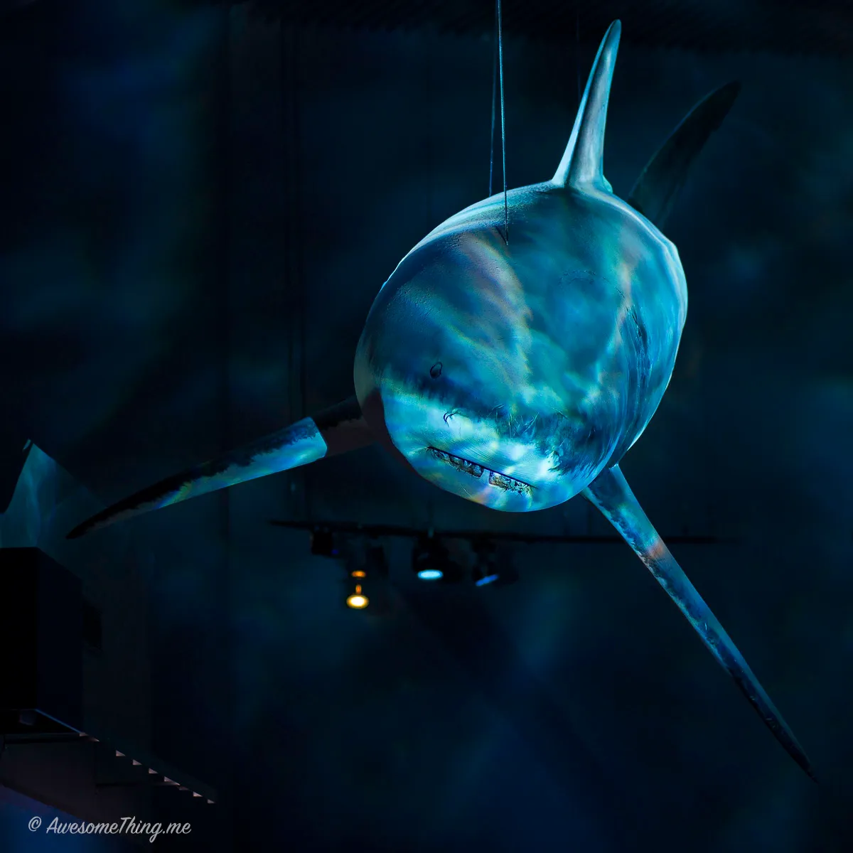 Den Bla Planet