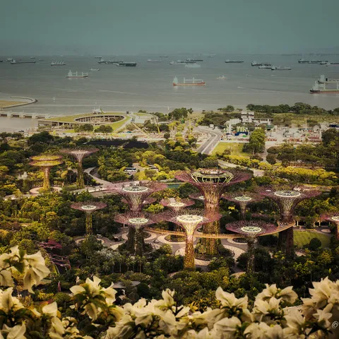 Botanic Garden