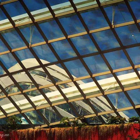 Botanic Gardens 4