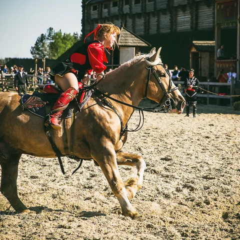 HorseShow 11
