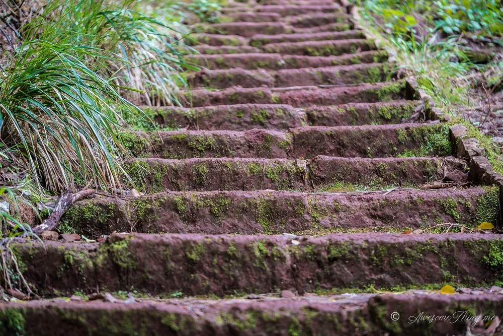 Levada 25 fontes