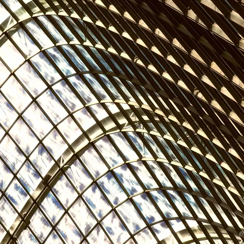 Botanic Gardens 11