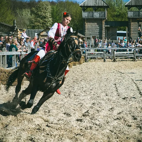 HorseShow 10