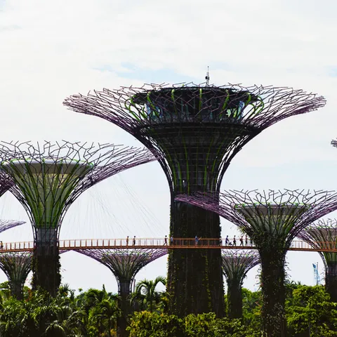 Botanic Gardens