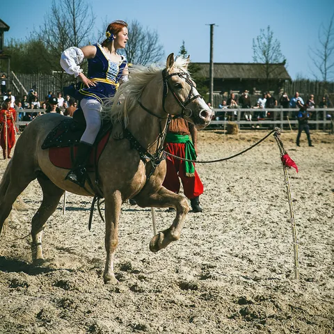 HorseShow 12