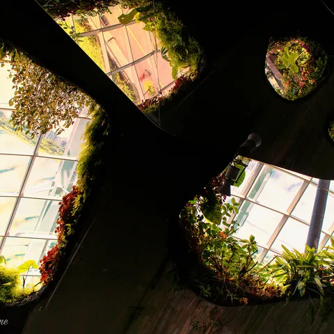 Botanic Gardens 10