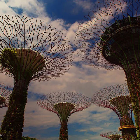 Botanic Gardens 2