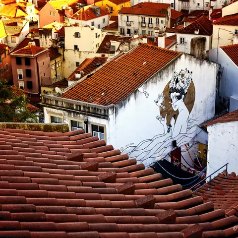 The rooftops