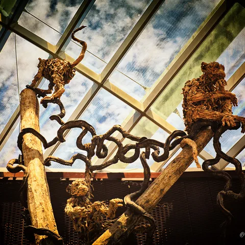 Botanic Gardens 3