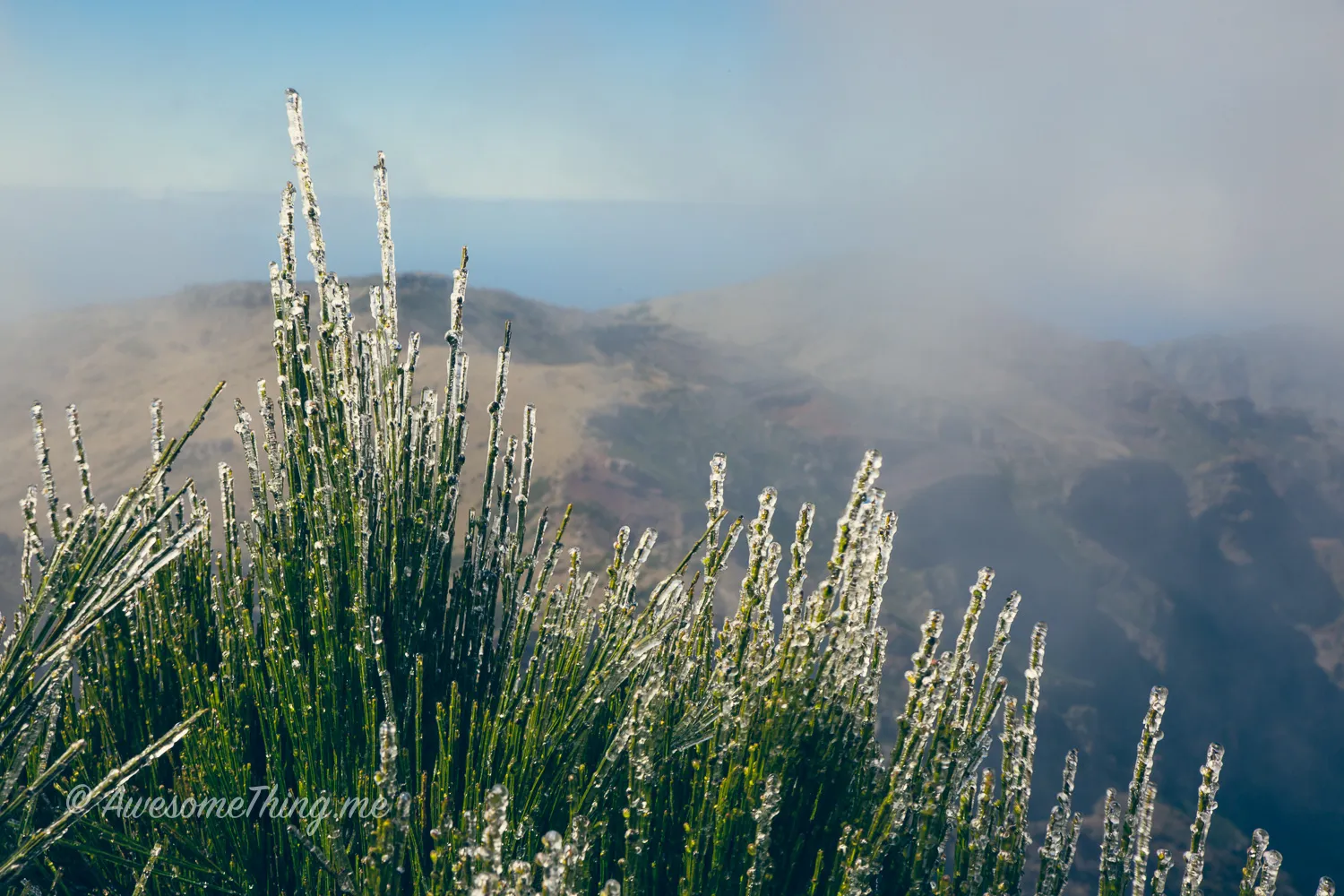 Pico do Areeiro