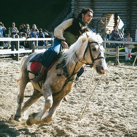 HorseShow 14