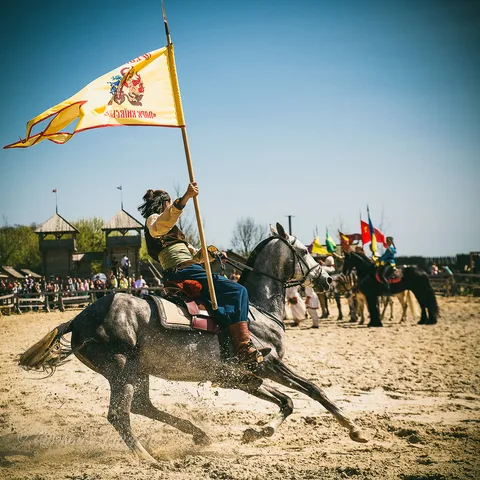 HorseShow