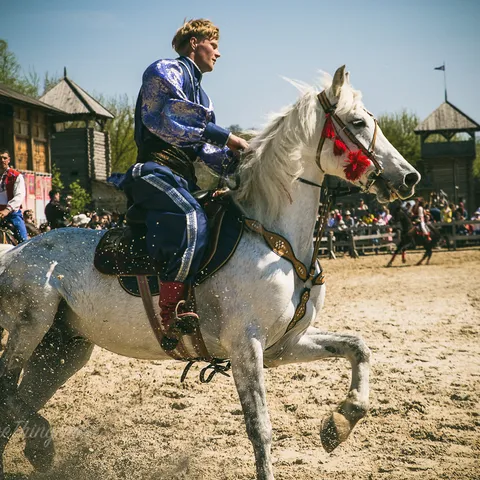HorseShow 2