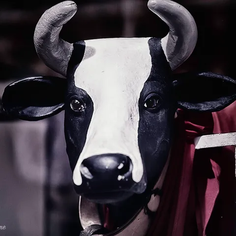 The Cow