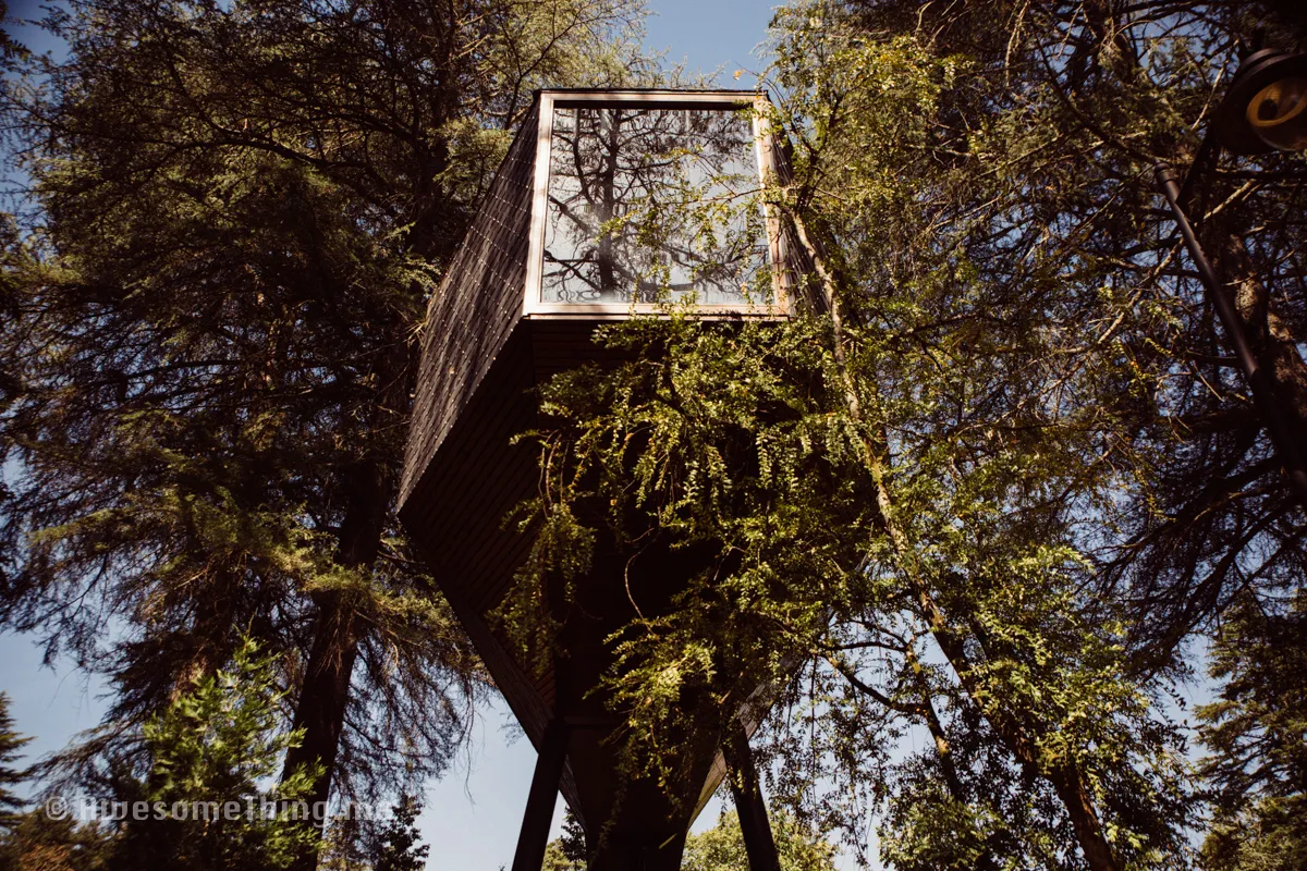 TreeHouse Portugal