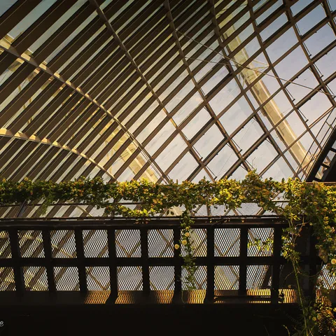 Botanic Gardens 7
