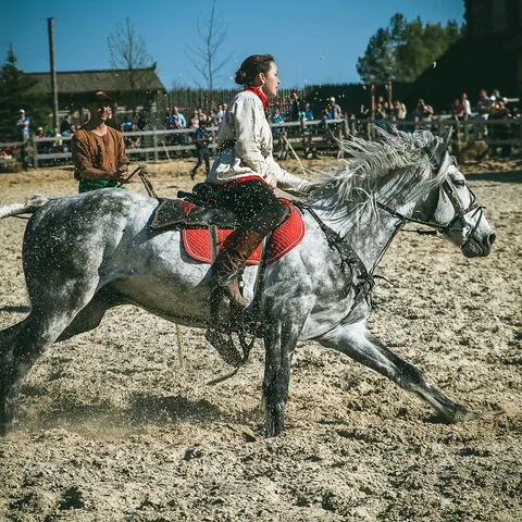 HorseShow 13