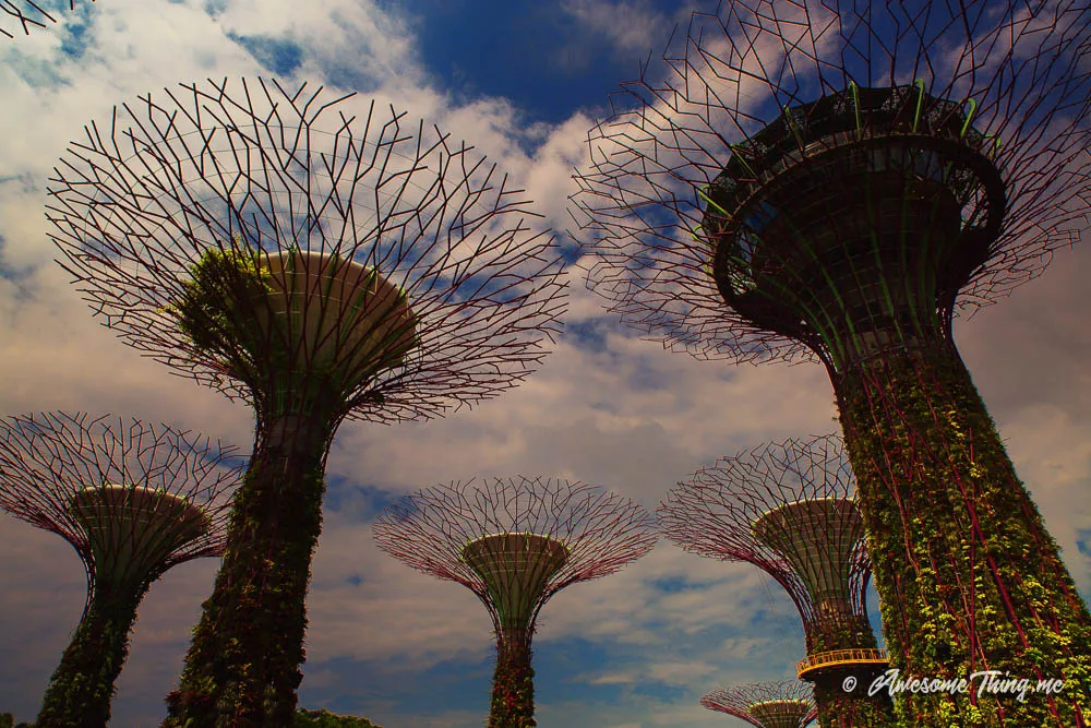 Gardens by the Bay, Сингапур